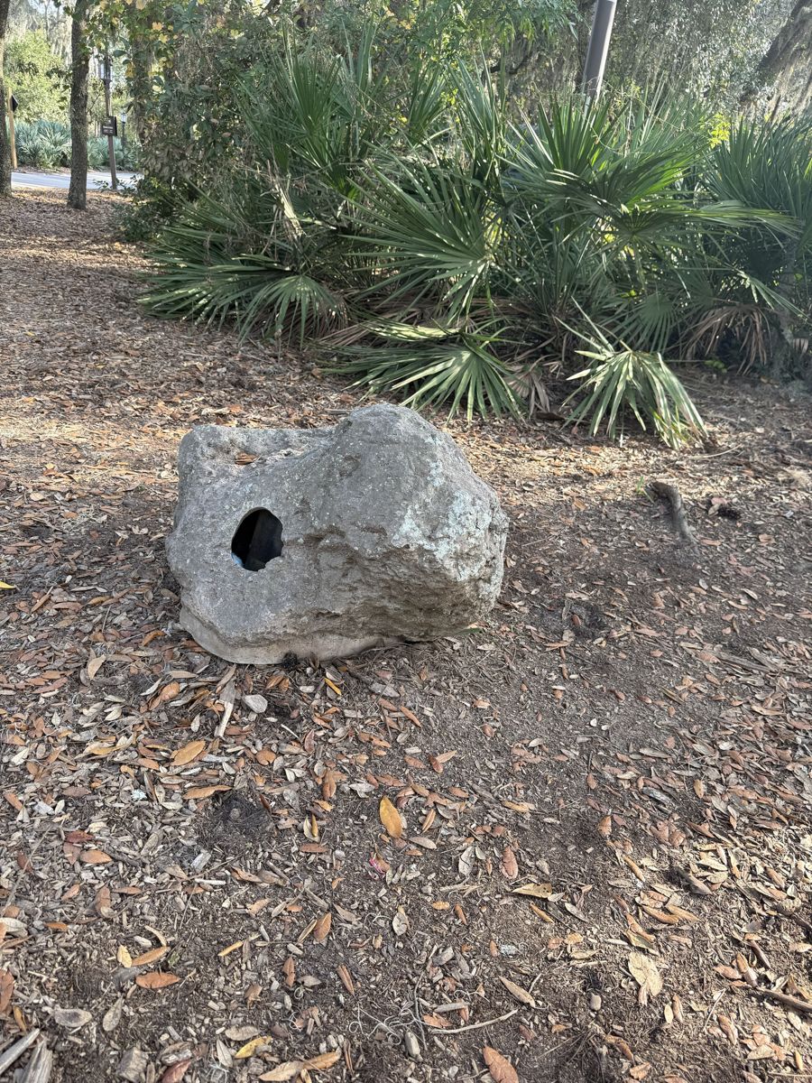 First location